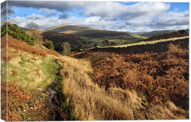 Light and shadows on the fells Canvas Print by Gary Kenyon