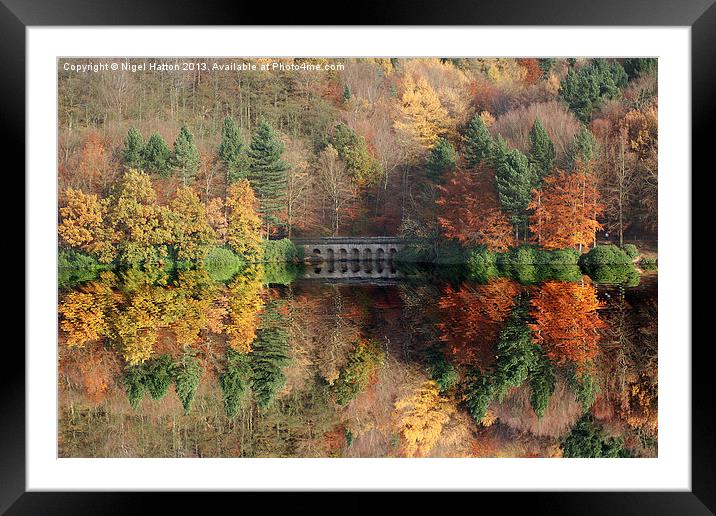 Autumn in Derwent Framed Mounted Print by Nigel Hatton