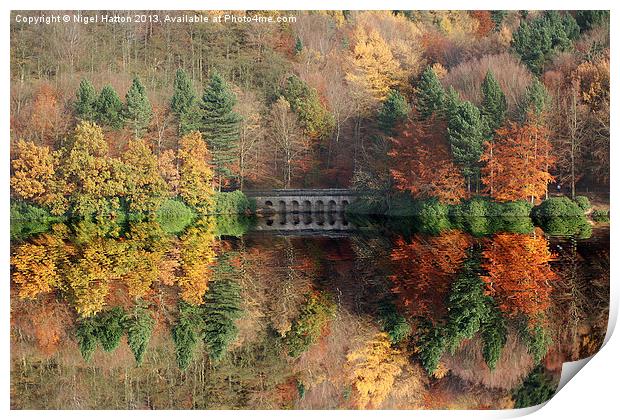 Autumn in Derwent Print by Nigel Hatton