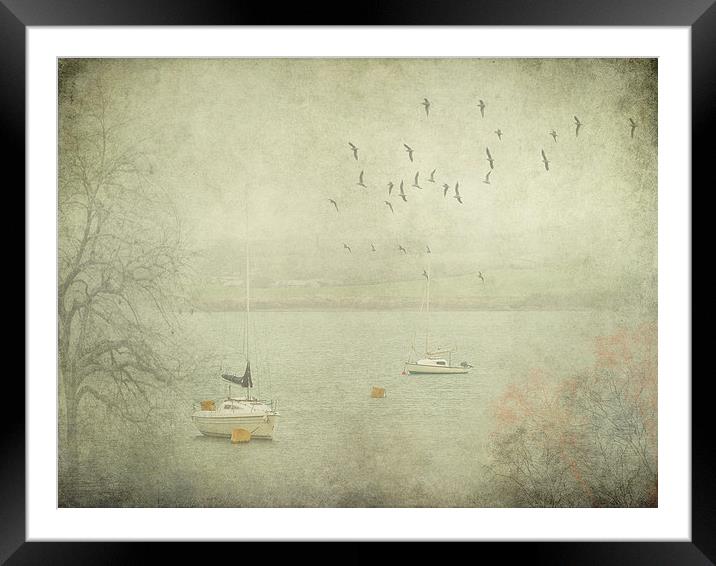 Misty Morning on the Camel Estuary Framed Mounted Print by Jenni Cheesman