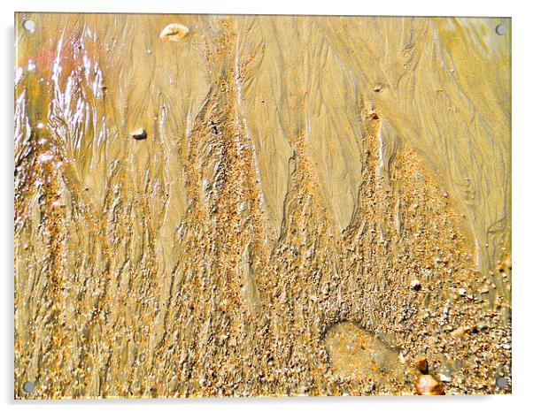 Sand Textures Acrylic by Liz Shewan