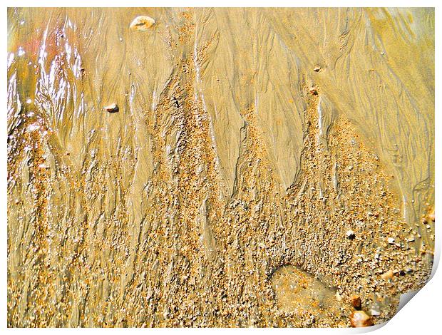 Sand Textures Print by Liz Shewan