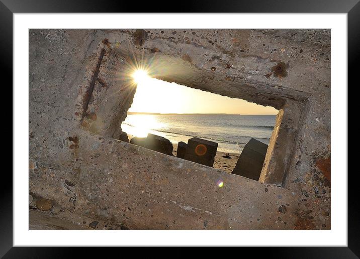 See. Framed Mounted Print by  