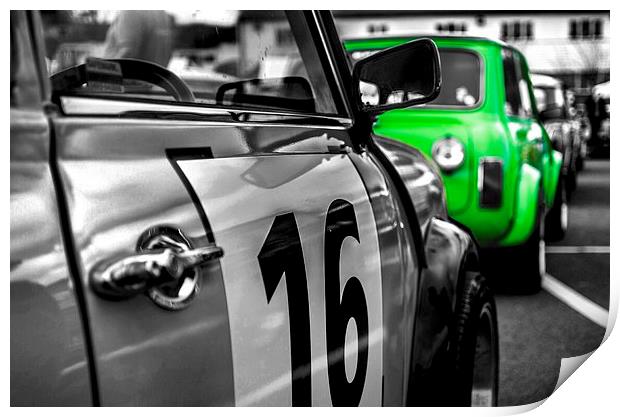Green with envy Print by chris wood