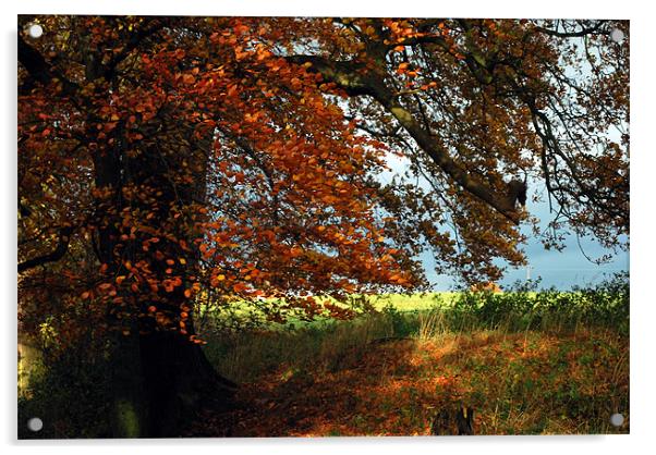 Englands Autumn Acrylic by Karen Harding