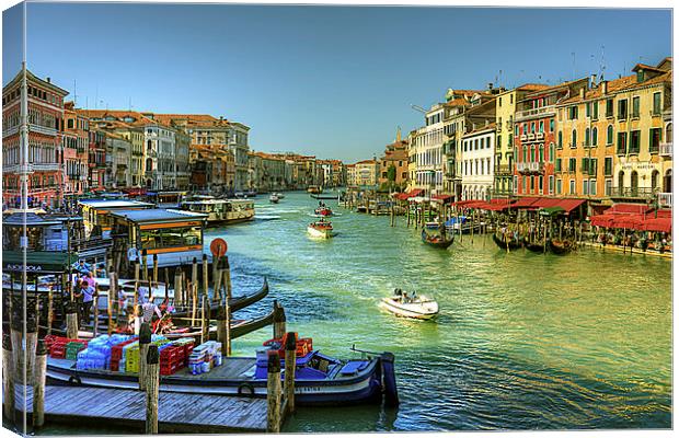 Life in Venice Canvas Print by Tom Gomez