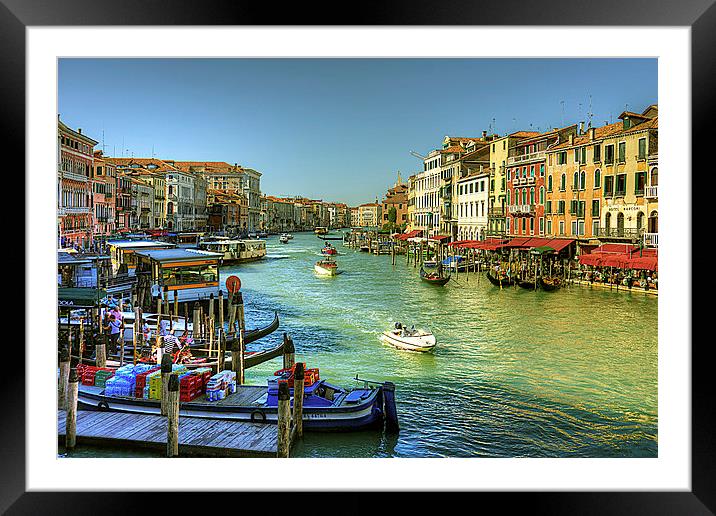 Life in Venice Framed Mounted Print by Tom Gomez
