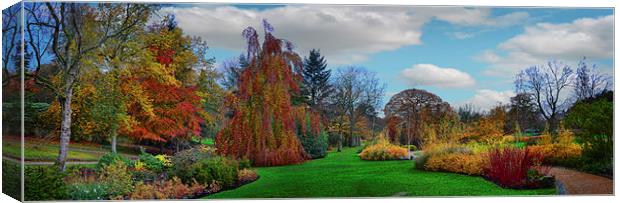Autumn Panorama Canvas Print by Colin Metcalf