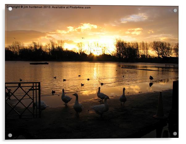 ducks sunrise Acrylic by jim huntsman