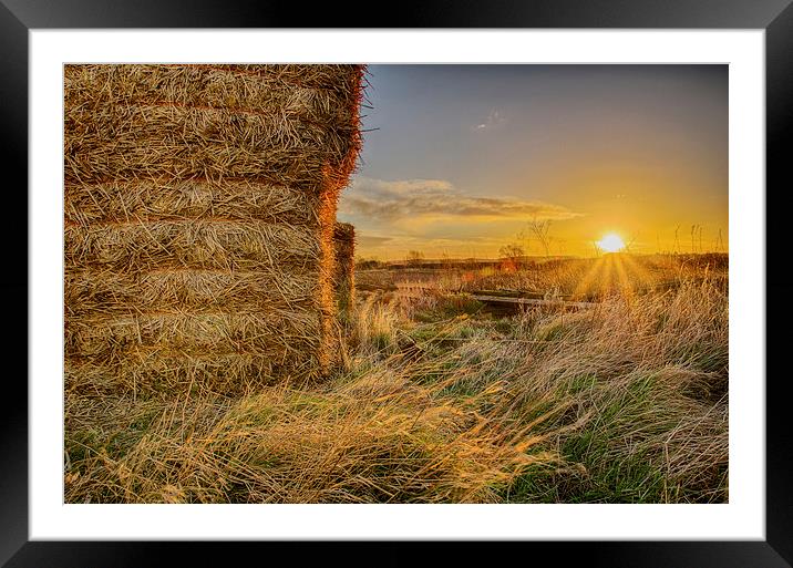 Hay Bales Sunrise Framed Mounted Print by Alex Clark