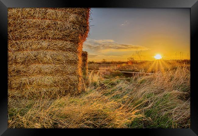 Hay Bales Sunrise Framed Print by Alex Clark