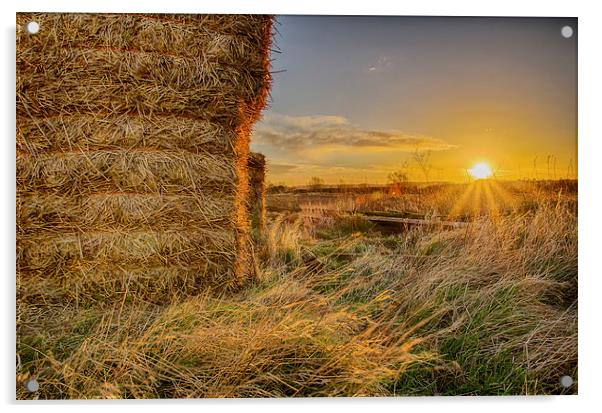 Hay Bales Sunrise Acrylic by Alex Clark