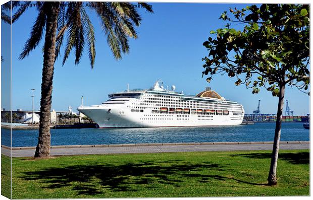 Cruise ship Oceana in Tenerife Canvas Print by Frank Irwin