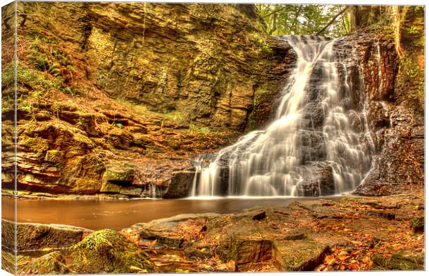 Hareshaw Linn, Northumberland Canvas Print by Gavin Liddle