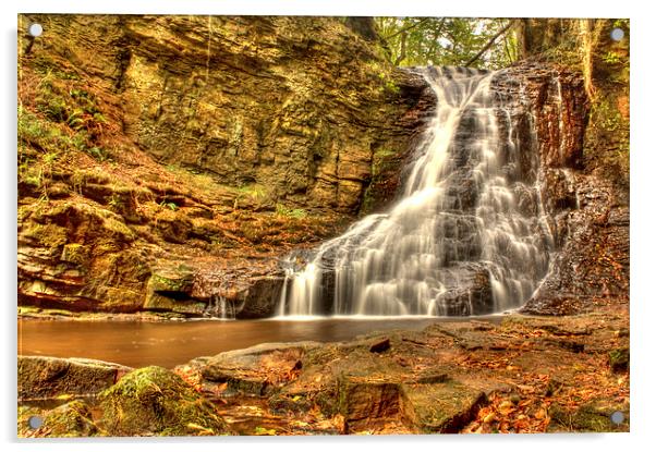 Hareshaw Linn, Northumberland Acrylic by Gavin Liddle