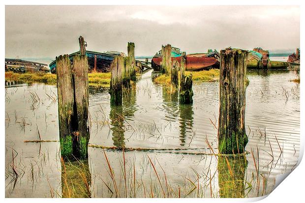 Hoo Marina, Kent, Wrecked Boats Print by Robert Cane