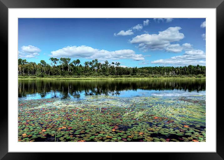 Lake Reflections Framed Mounted Print by Elaine Manley