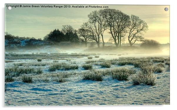 The Frozen Meadow Acrylic by Jamie Green