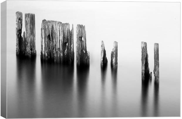 Harbour posts Canvas Print by Michael Thompson