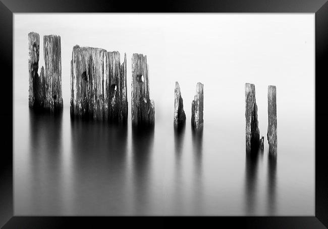 Harbour posts Framed Print by Michael Thompson