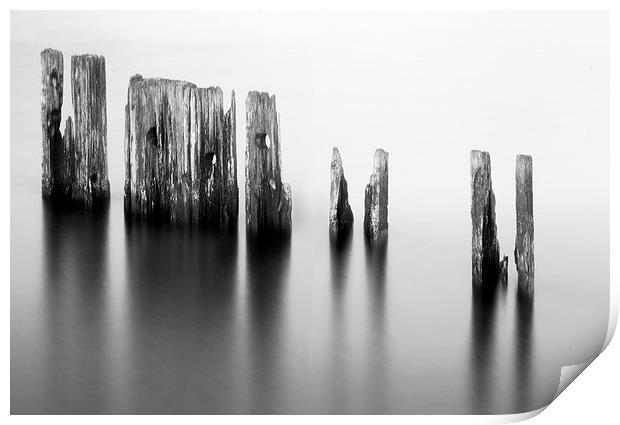 Harbour posts Print by Michael Thompson