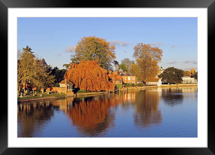River Thames at Marlow Framed Mounted Print by Tony Murtagh