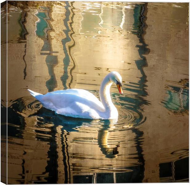 Reflections Canvas Print by Tylie Duff Photo Art