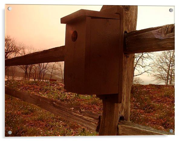 BirdHouse on the Fence Acrylic by Pics by Jody Adams