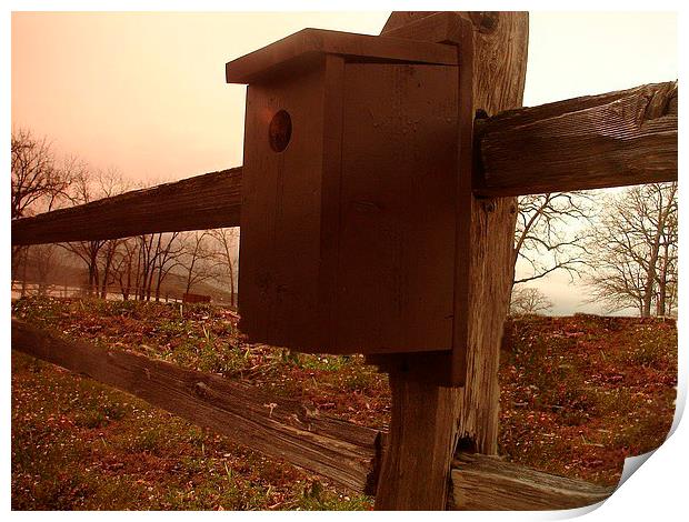 BirdHouse on the Fence Print by Pics by Jody Adams