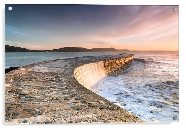 Sunkissed Cobb at Lyme Regis Acrylic by Chris Frost