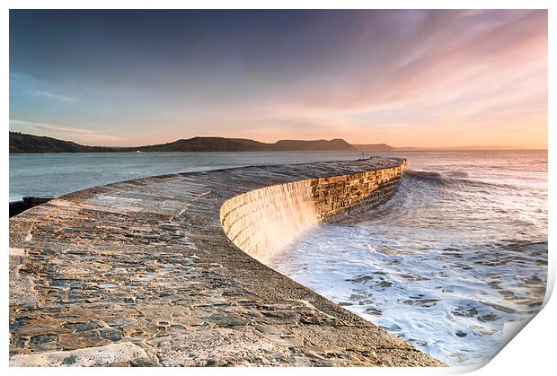 Sunkissed Cobb at Lyme Regis Print by Chris Frost