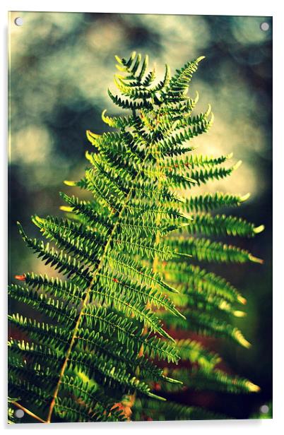 The dancing ferns Acrylic by Annie Japaud