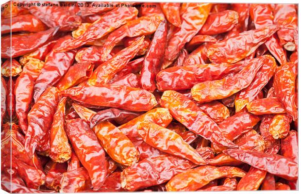 Dried red chili peppers Canvas Print by stefano baldini