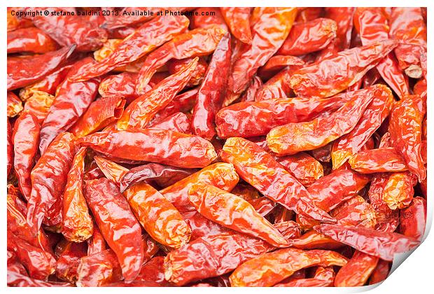 Dried red chili peppers Print by stefano baldini