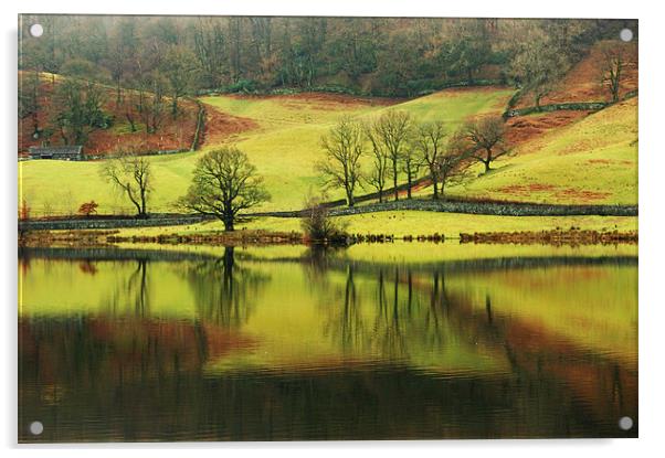 Rydal Water Acrylic by Jamie Green
