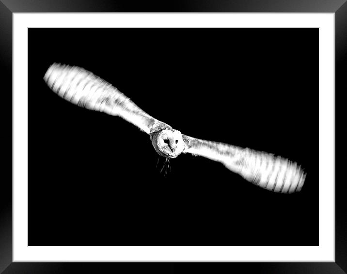 Out of the Shadows - black and white version Framed Mounted Print by Keith Campbell