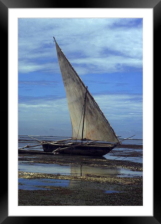 JST2670 Arab Dhow, Mombasa Framed Mounted Print by Jim Tampin