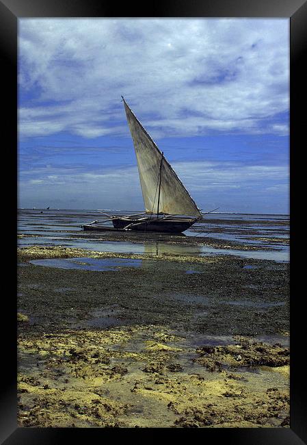JST2669 Shanzu Beach with Dhow Framed Print by Jim Tampin