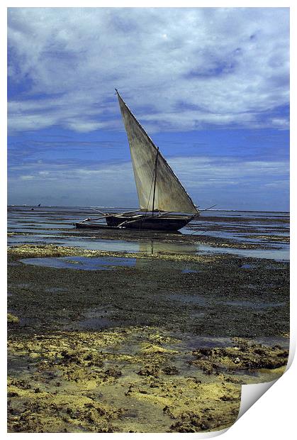 JST2669 Shanzu Beach with Dhow Print by Jim Tampin
