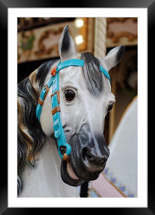 Carousel Horse 1 Framed Mounted Print by Lynette Holmes