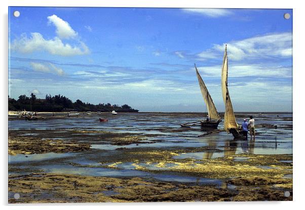 JST2668 Low tide, Shanzu Beach Acrylic by Jim Tampin