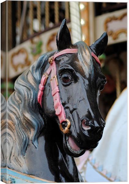 Carousel Horse 3 Canvas Print by Lynette Holmes