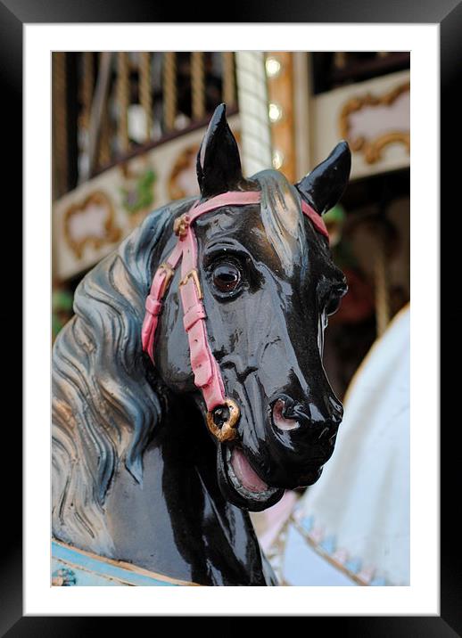 Carousel Horse 3 Framed Mounted Print by Lynette Holmes