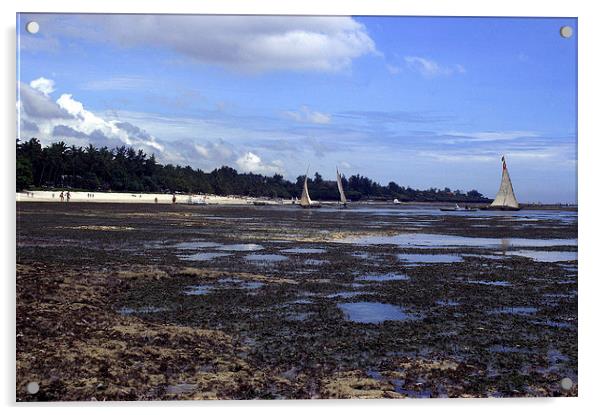 JST2667 Shanzu beach low tide Acrylic by Jim Tampin