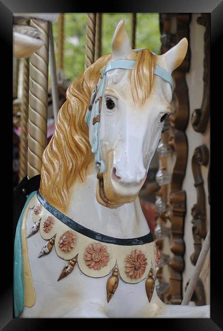 Carousel Horse 4 Framed Print by Lynette Holmes
