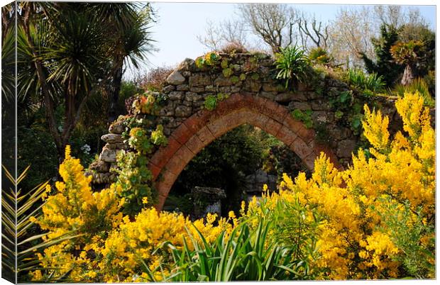 Archway and Yellow flowers Canvas Print by Lynette Holmes