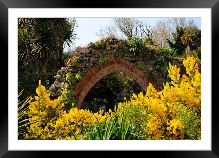 Archway and Yellow flowers Framed Mounted Print by Lynette Holmes