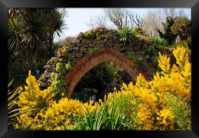 Archway and Yellow flowers Framed Print by Lynette Holmes