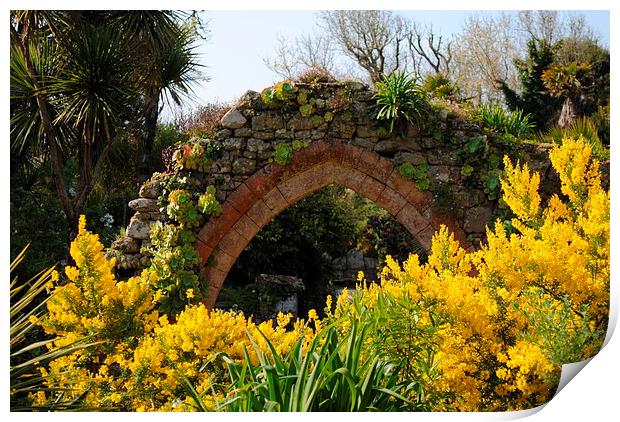 Archway and Yellow flowers Print by Lynette Holmes