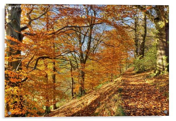 Autumn Colour, Derbyshire Acrylic by David Birchall